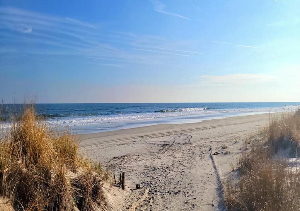 Photo of Others in Sea Isle City