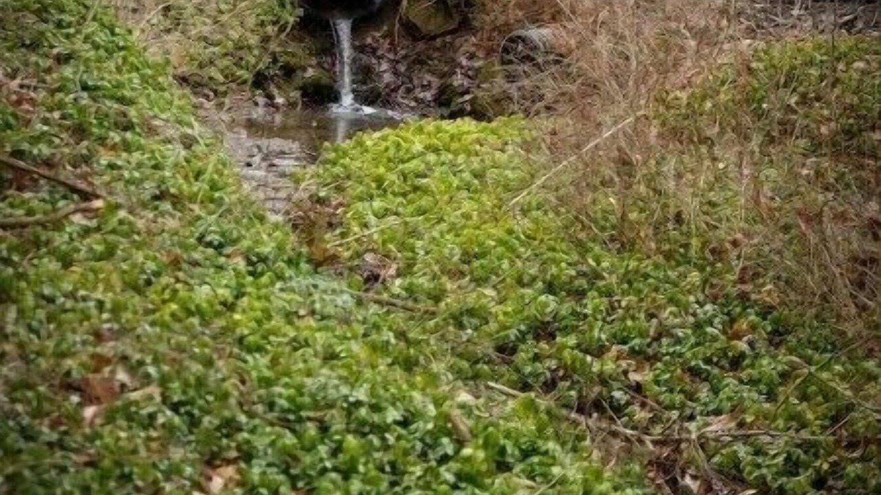 Photo of Outdoor in New Wilmington