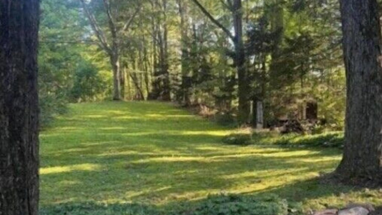 Photo of Outdoor in New Wilmington
