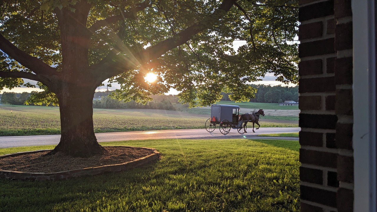 Photo of Outdoor in Kinzers