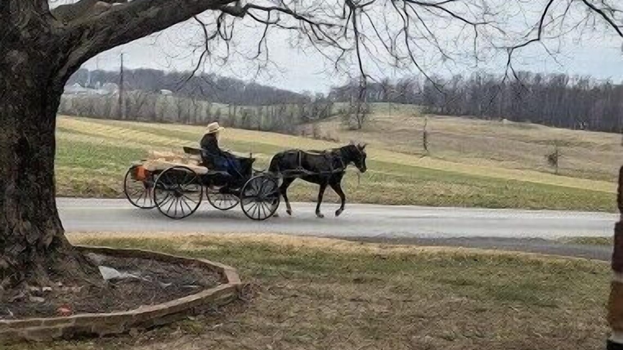 Photo of Others in Kinzers