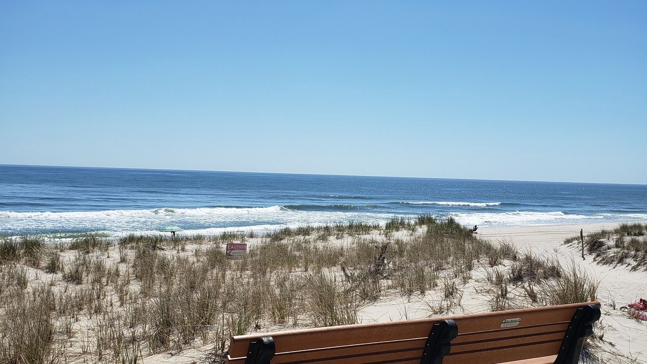 Photo of Others in Beach Haven Crest