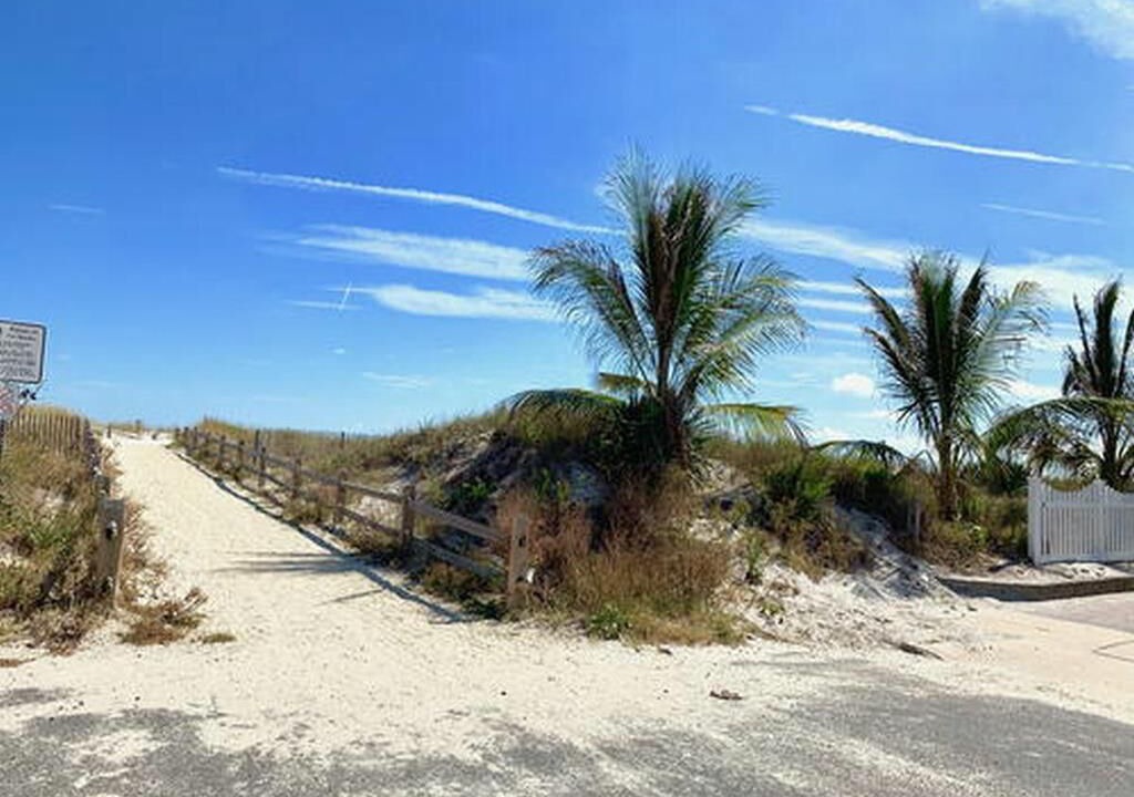 Photo of Others in Townsend's Inlet