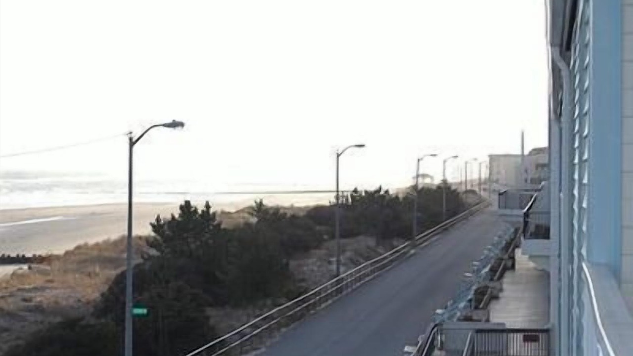 Photo of Others in Sea Isle City