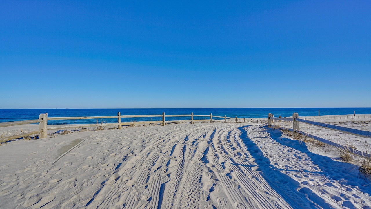 Photo of Others in Lavallette