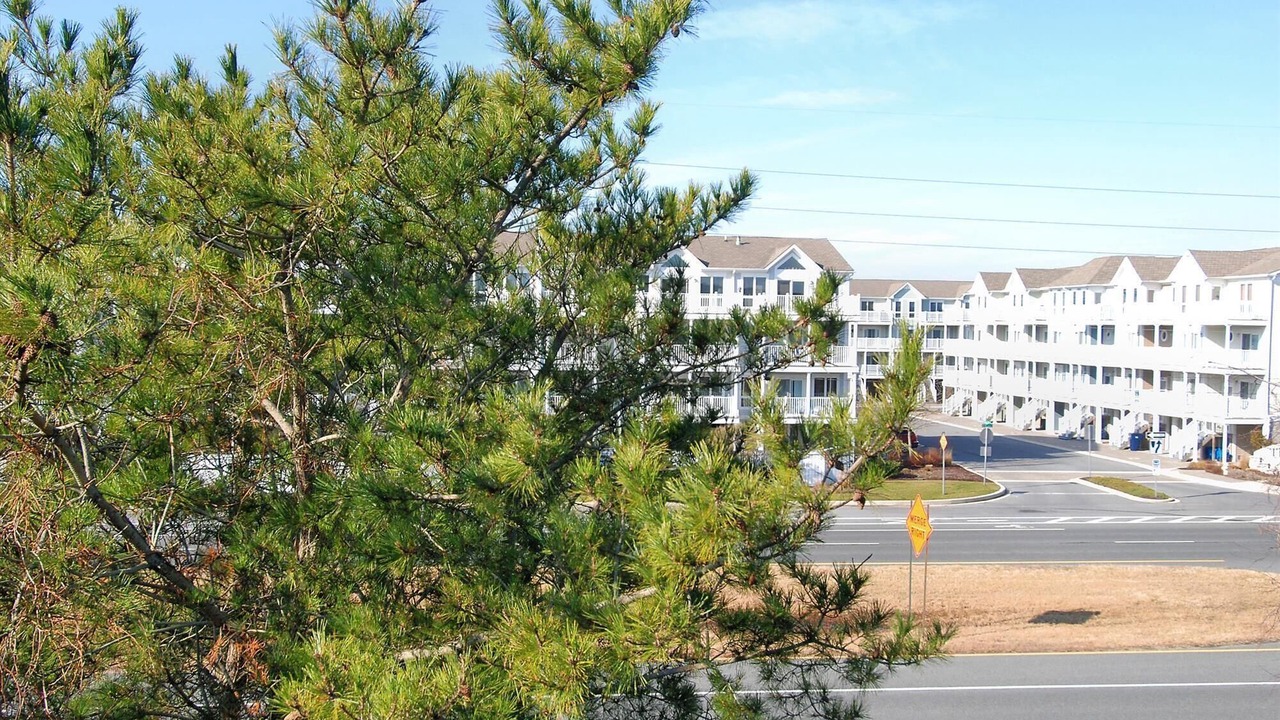 Photo of Others in Sussex County