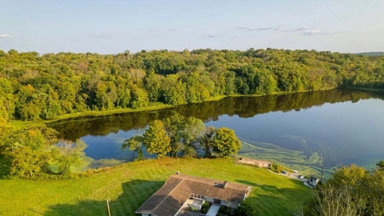 Photo of Outdoor in Sussex