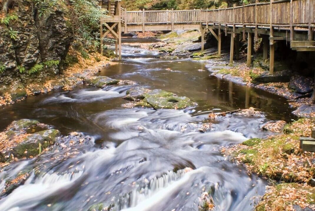 Photo of Others in Tannersville
