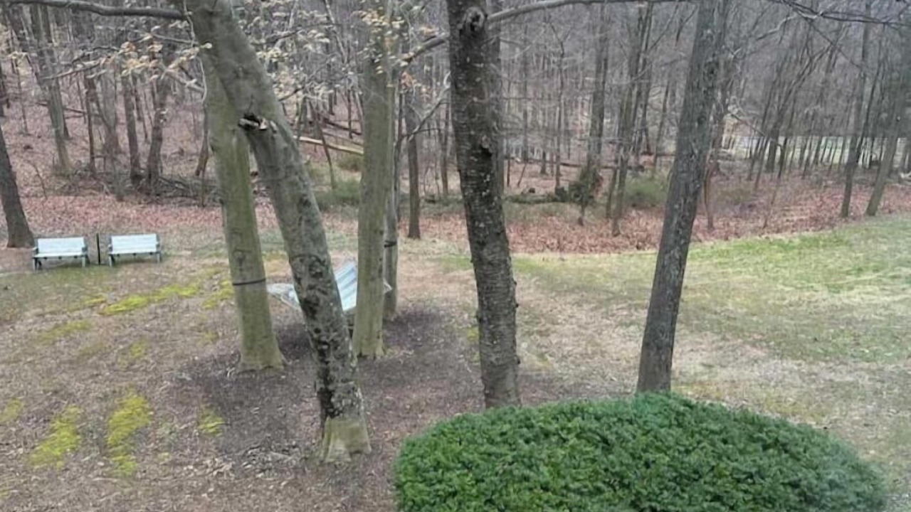 Photo of Outdoor in Dickerson