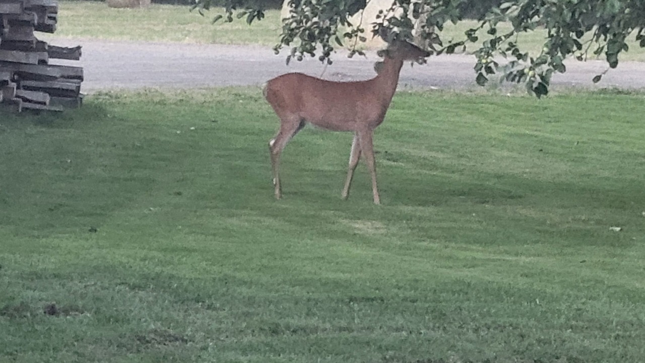 Photo of Others in Meadville