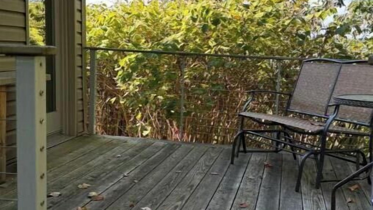 Photo of Patio Balcony in Morgantown