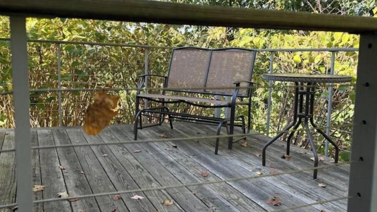 Photo of Outdoor in Morgantown