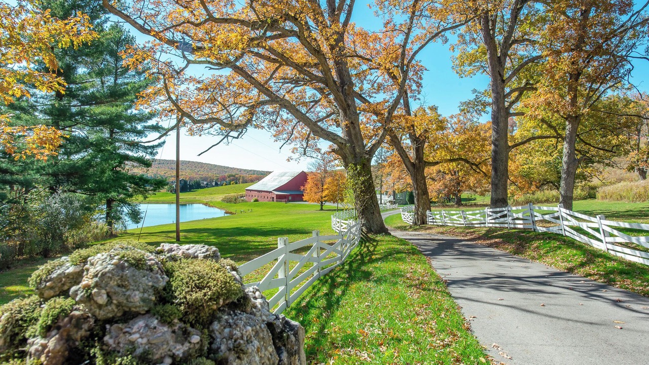 Photo of Outdoor in North Glade Hills