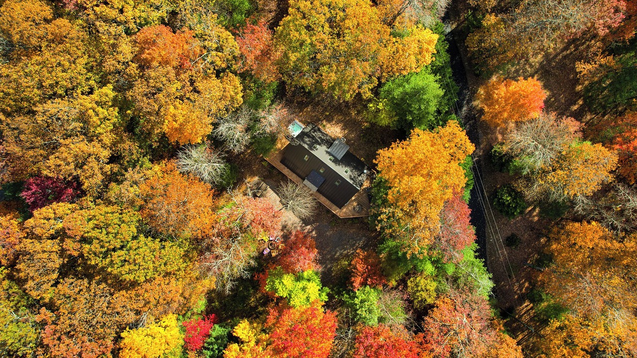 Photo of Outdoor in Wardensville