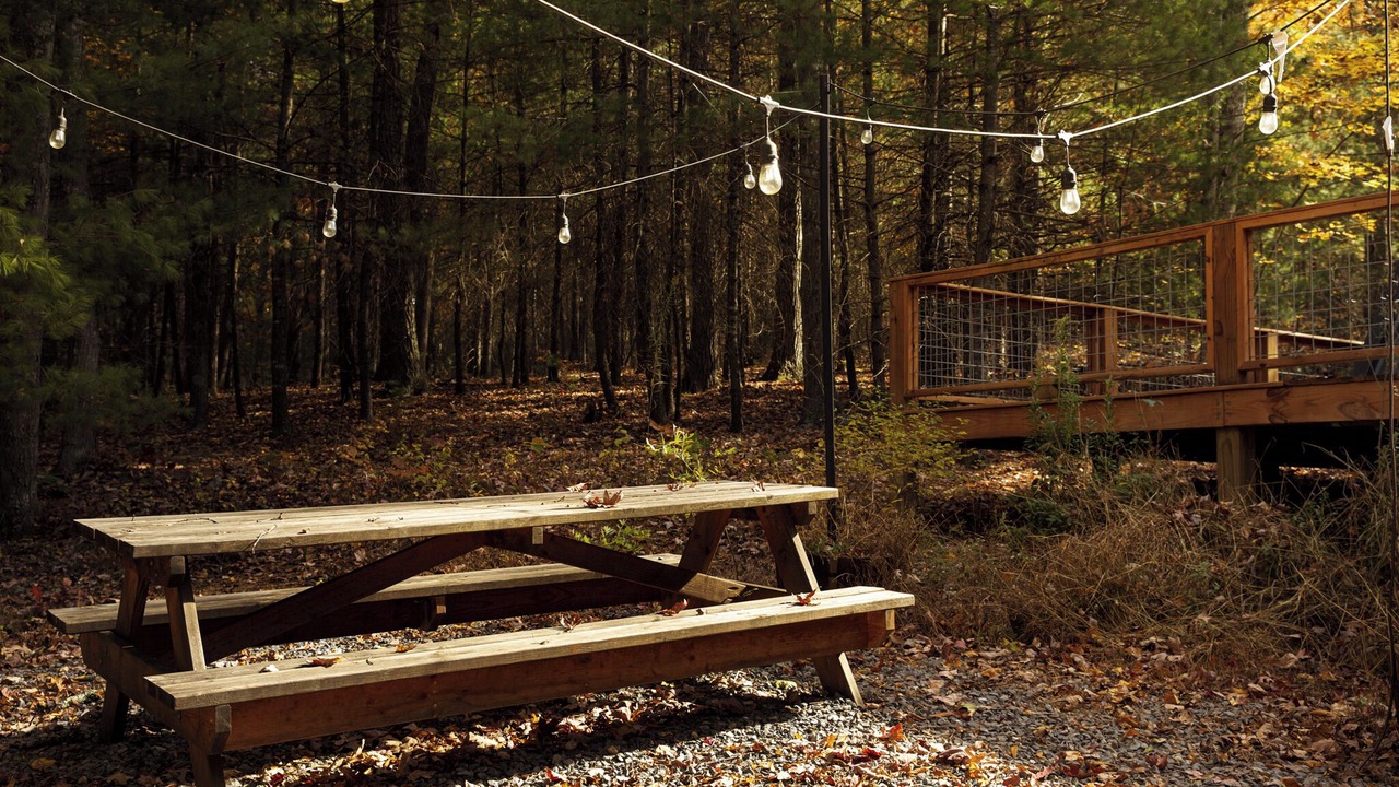 Photo of Outdoor in Wardensville