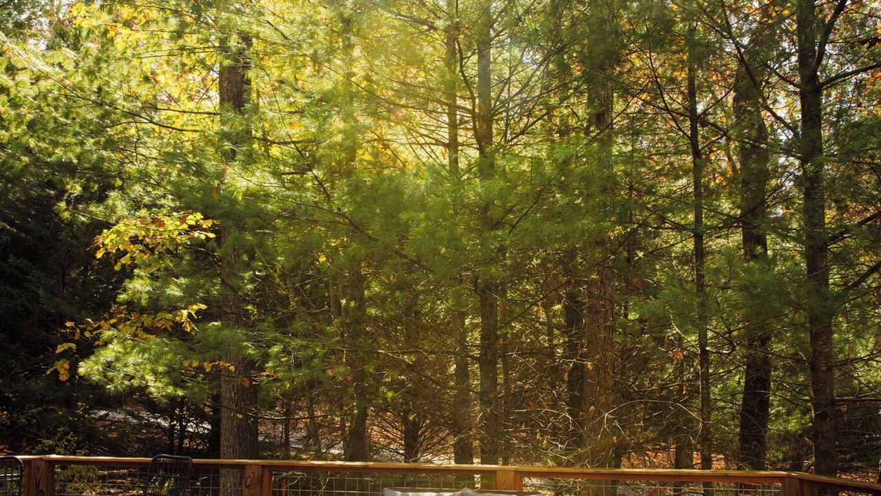 Photo of Outdoor in Wardensville
