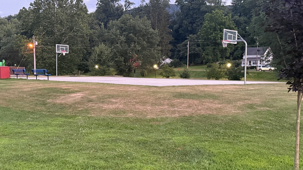 Photo of Others in Black Fork