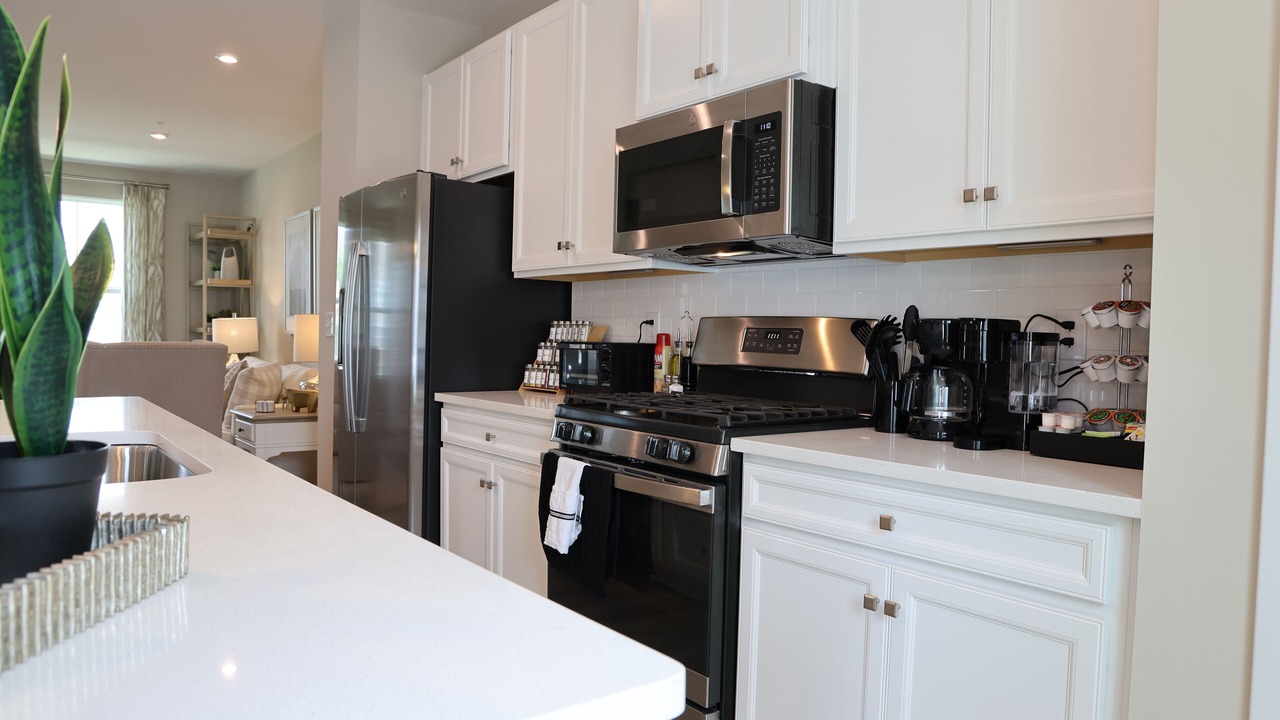 Photo of Kitchen in Bayside