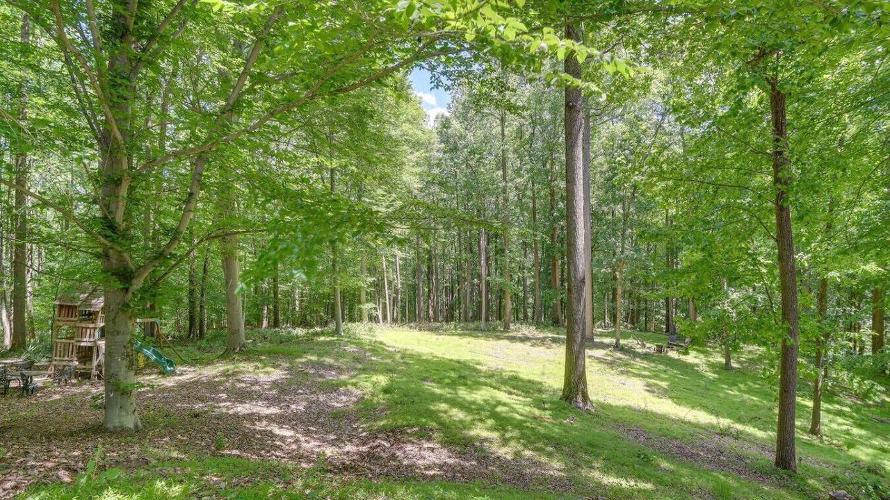Photo of Outdoor in Long Green