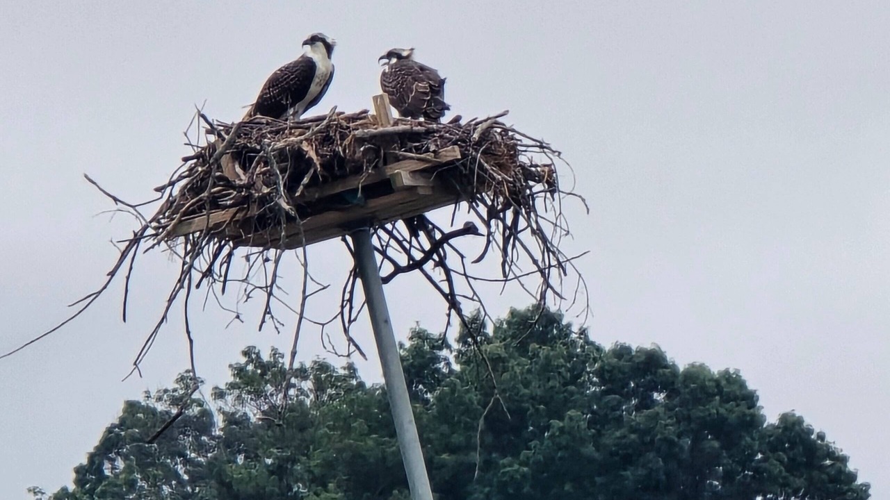 Photo of Others in Cape Anne