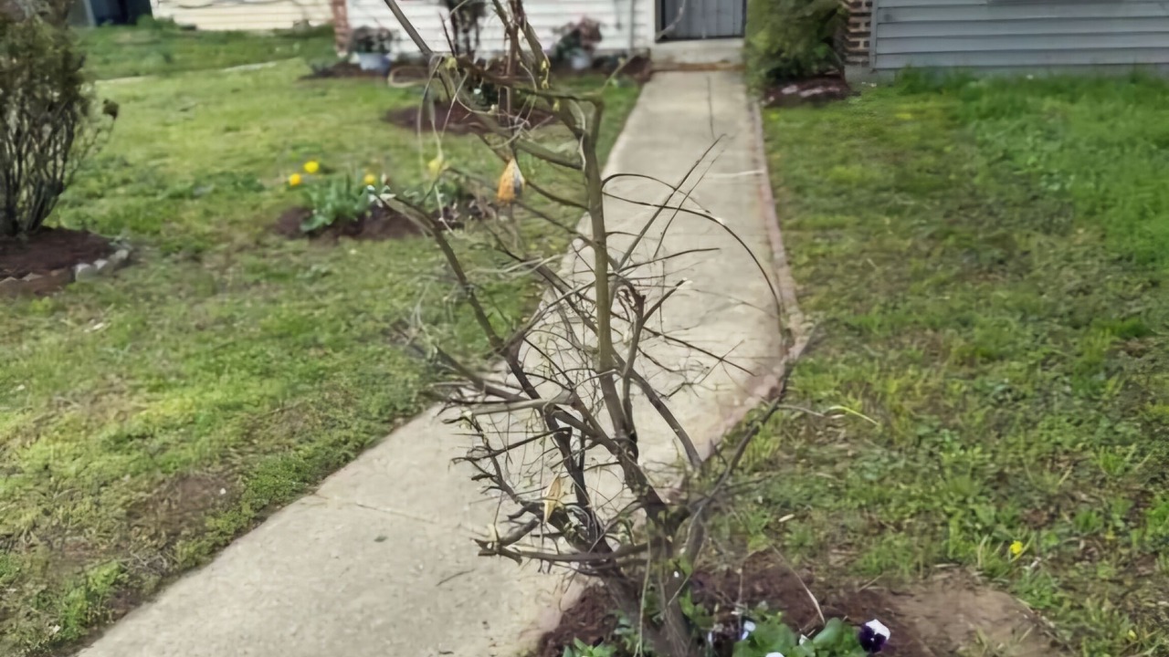 Photo of Outdoor in Northeast