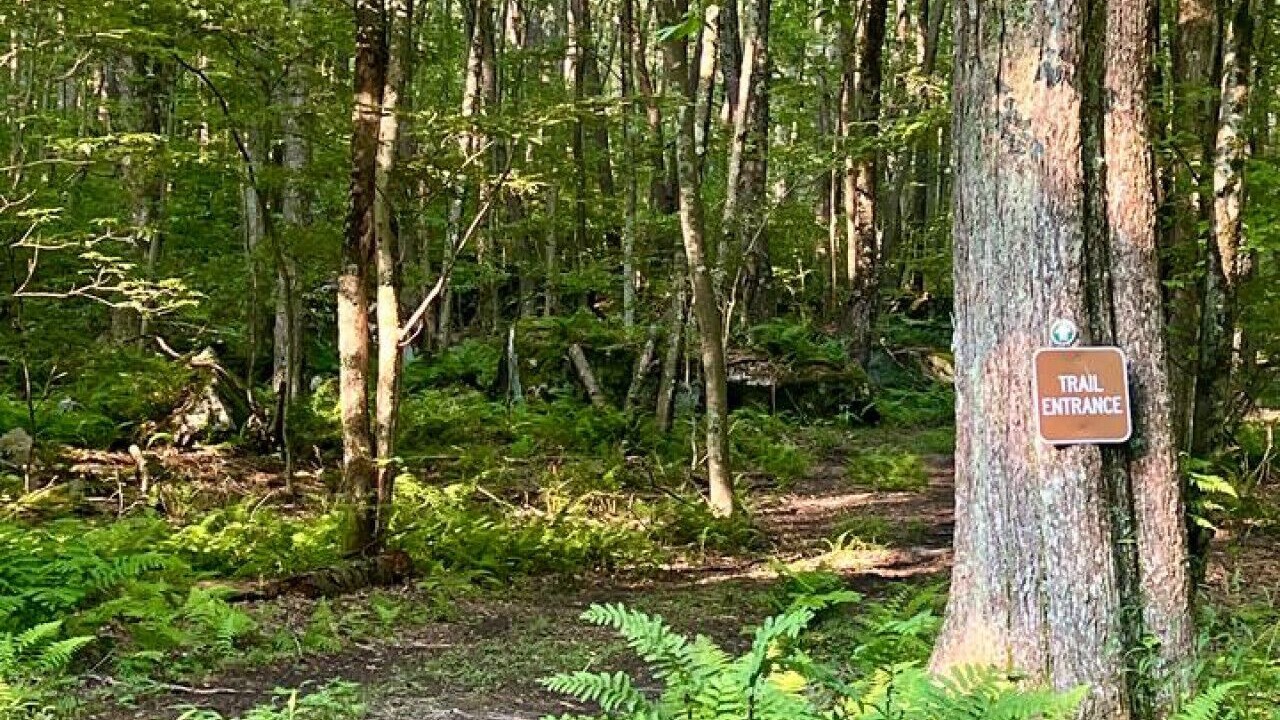Photo of Others in Crellin