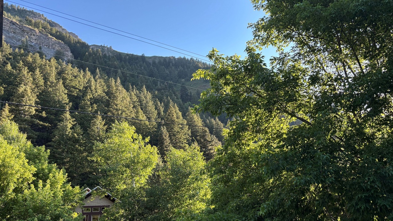 Photo of Others in Snowbird
