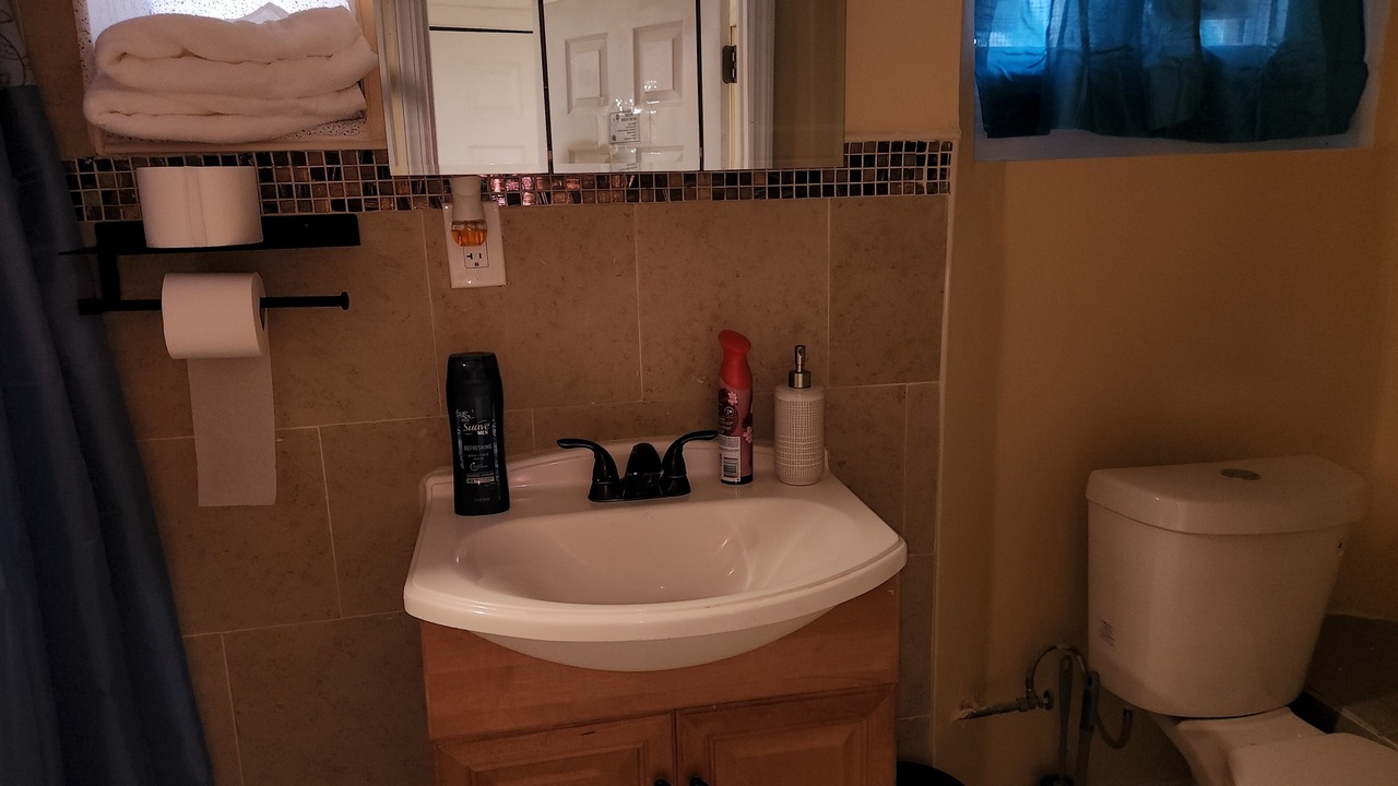 Photo of Bathroom in Weequahic