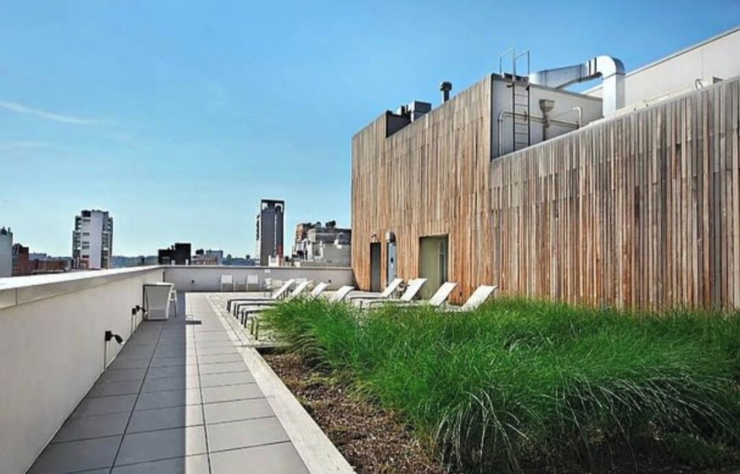Photo of Patio Balcony in Chelsea