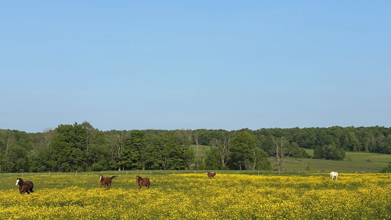 Photo of Others in French Creek