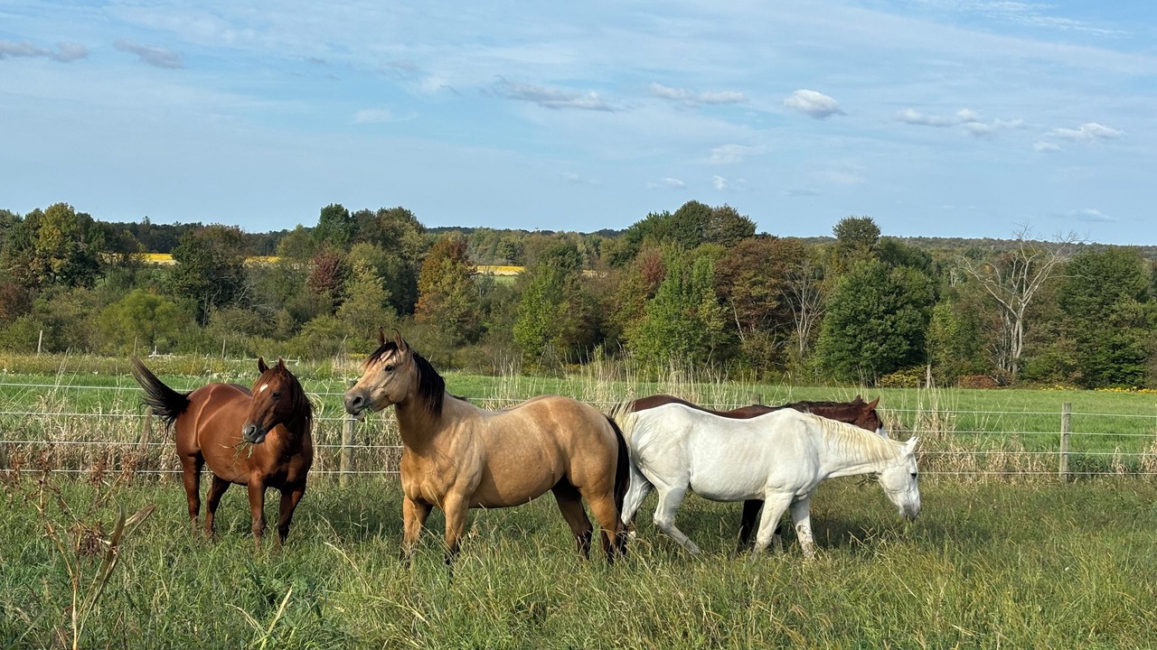 Photo of Others in French Creek
