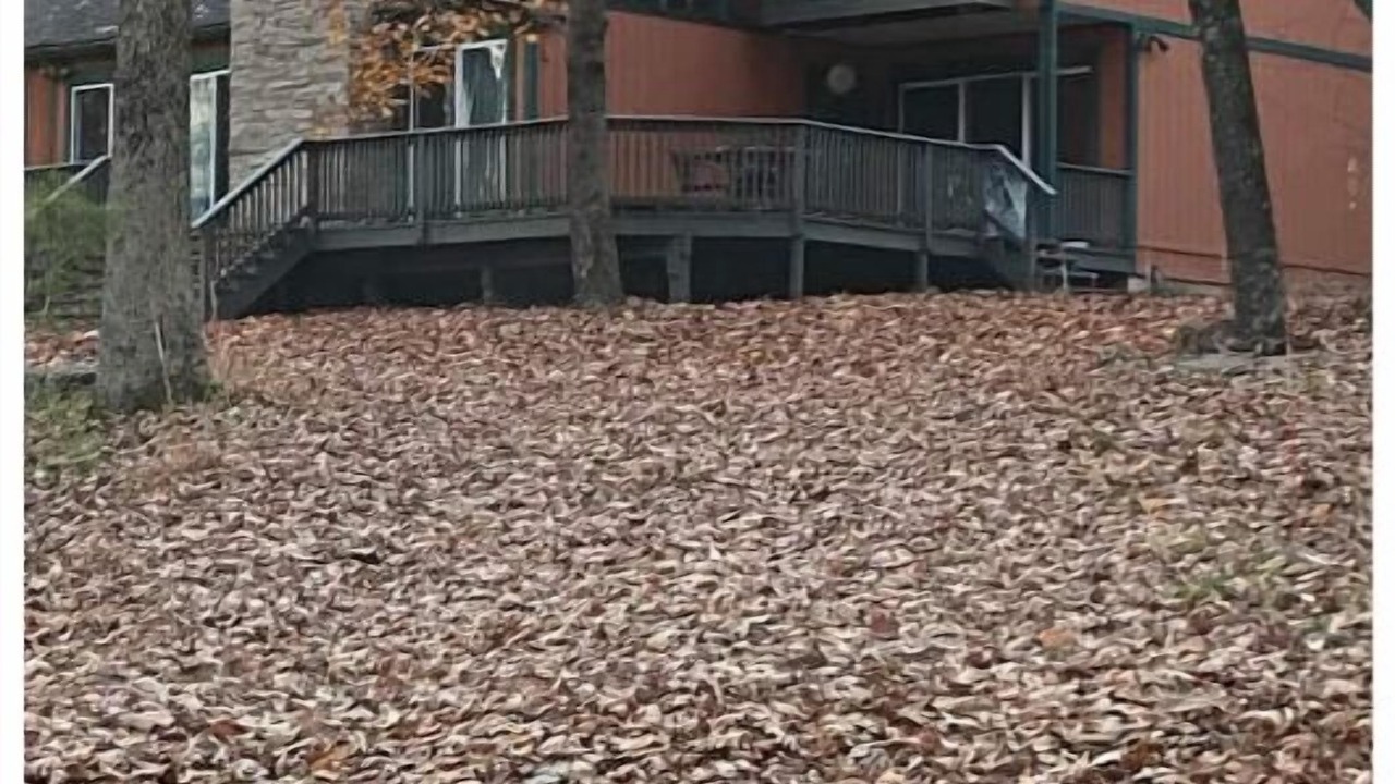 Photo of Outdoor in Hawley