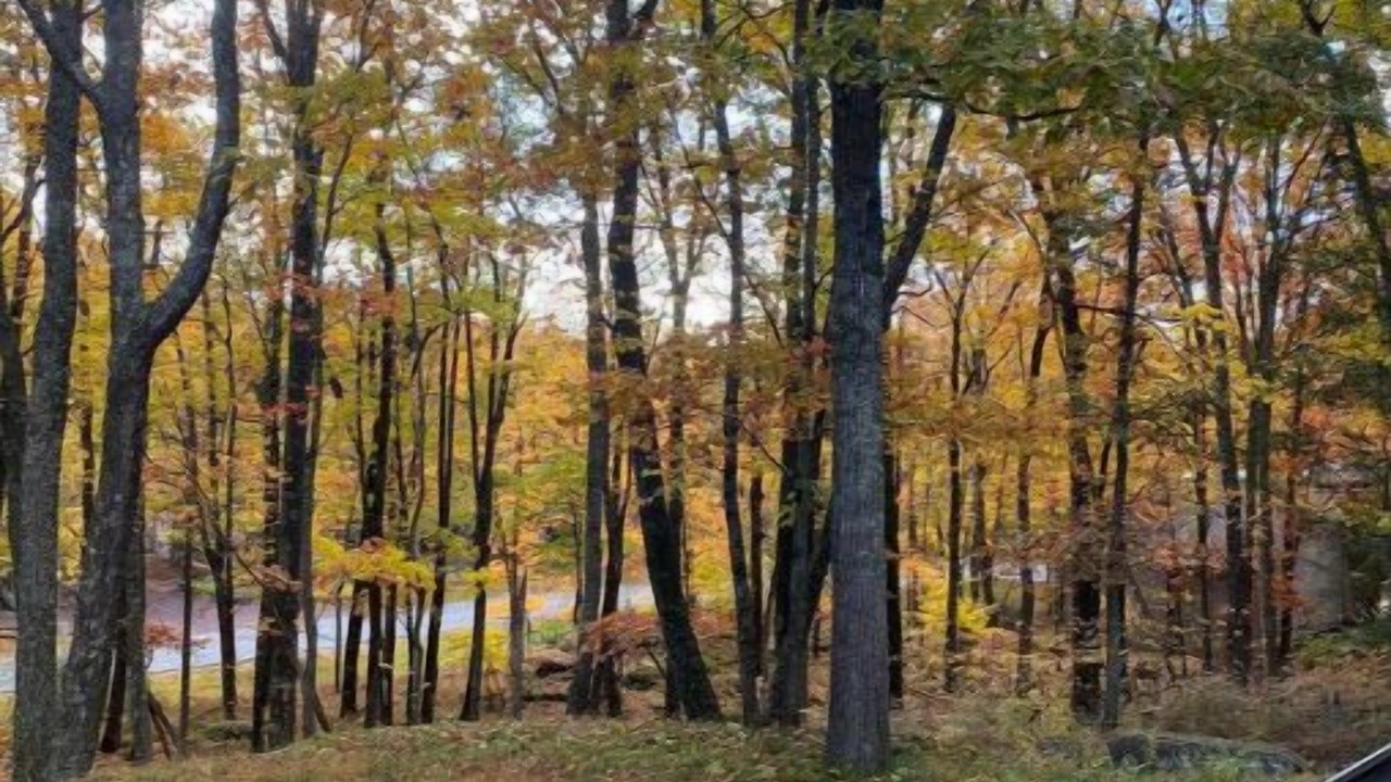 Photo of Outdoor in Hawley