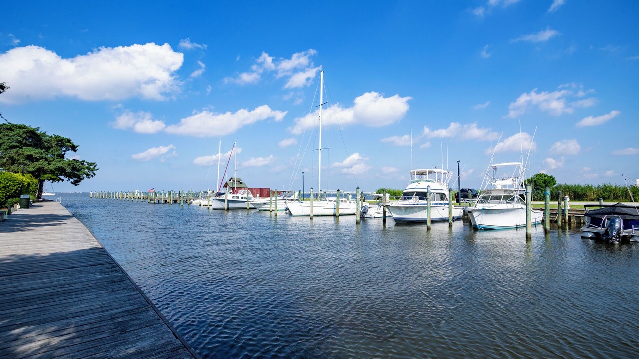 Photo of Others in Historic Downtown Manteo