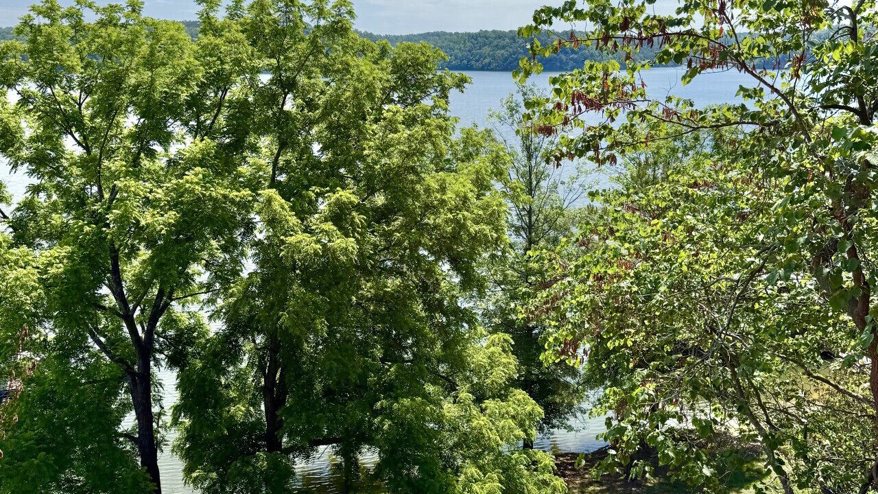 Photo of Others in Beaver Shores