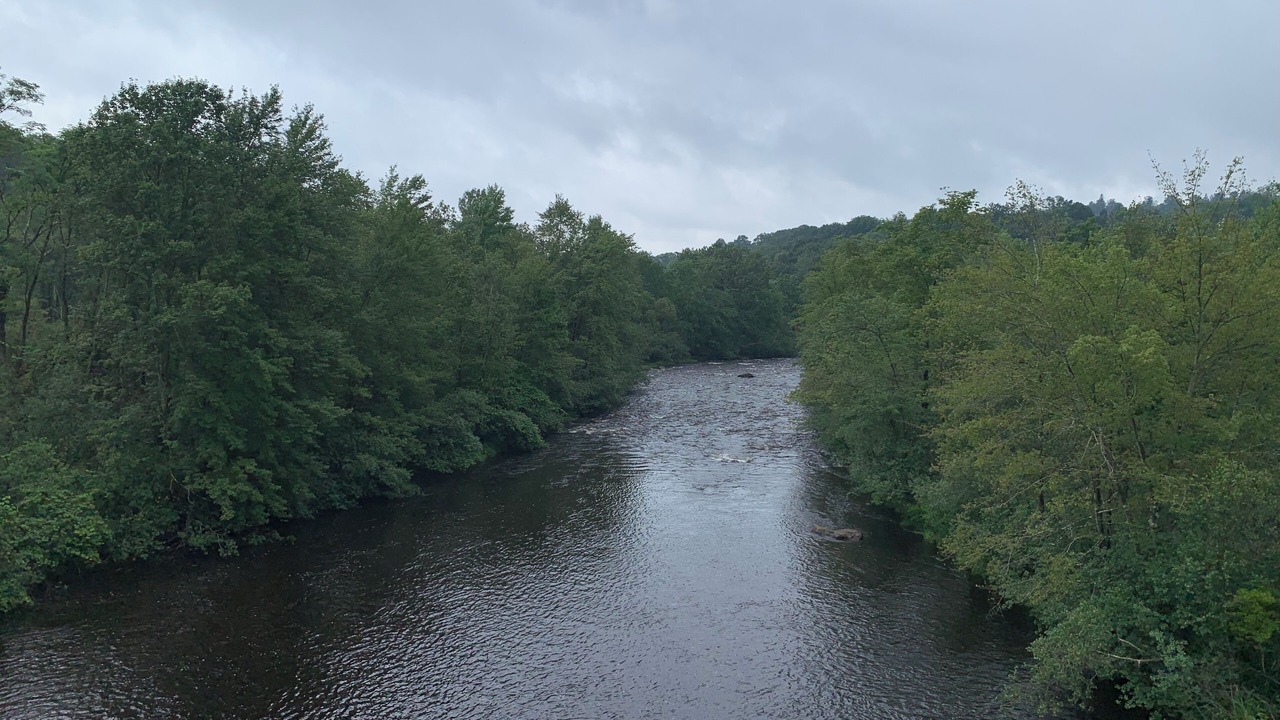 Photo of Others in White Haven