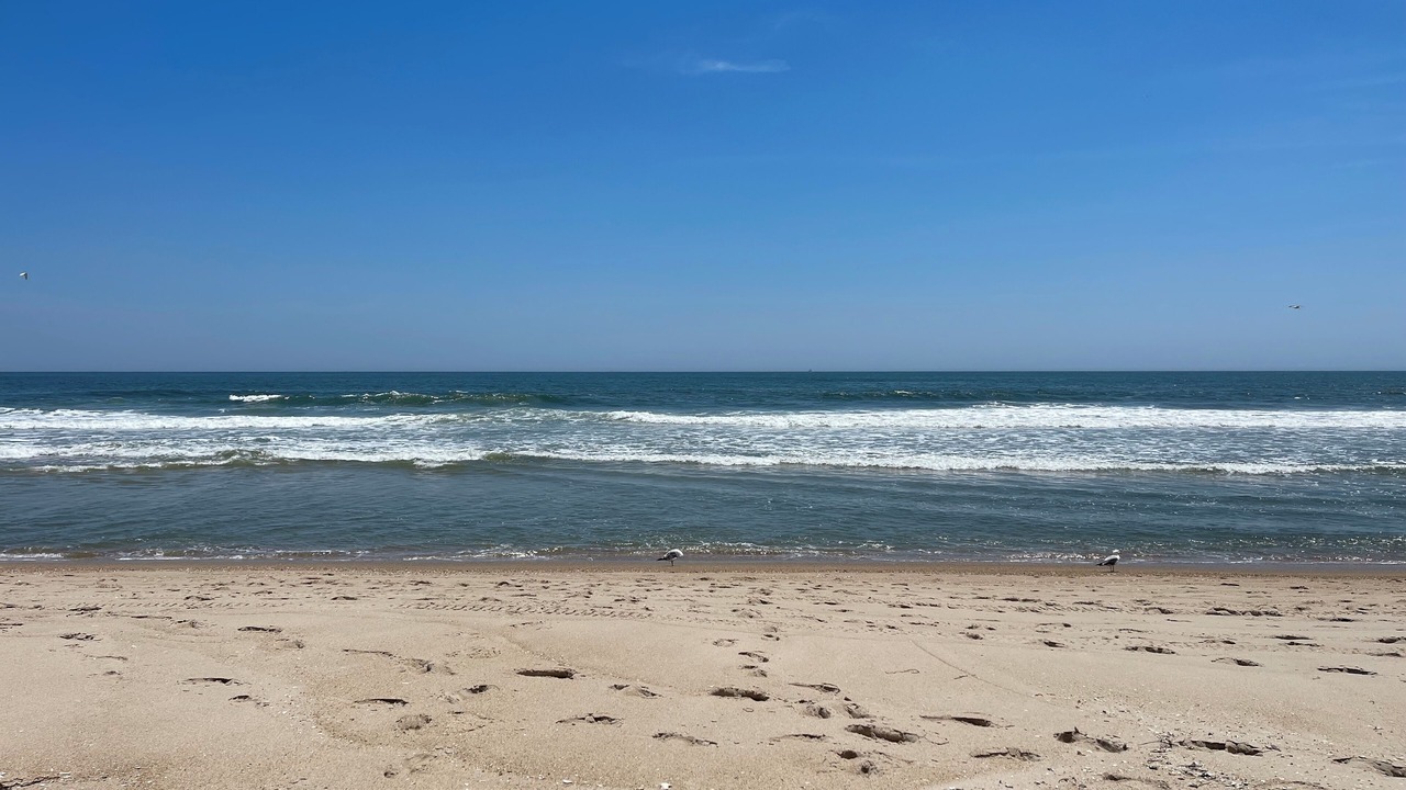 Photo of Others in Harvey Cedars