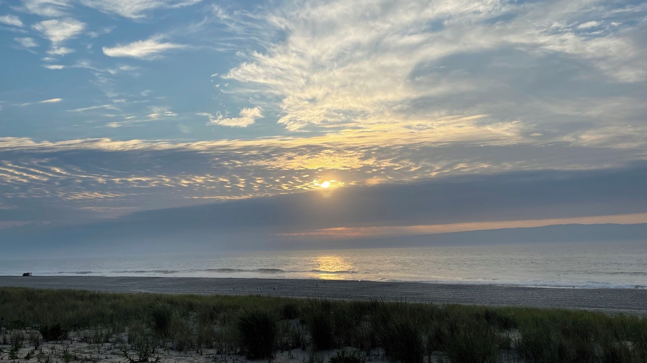 Photo of Others in Harvey Cedars