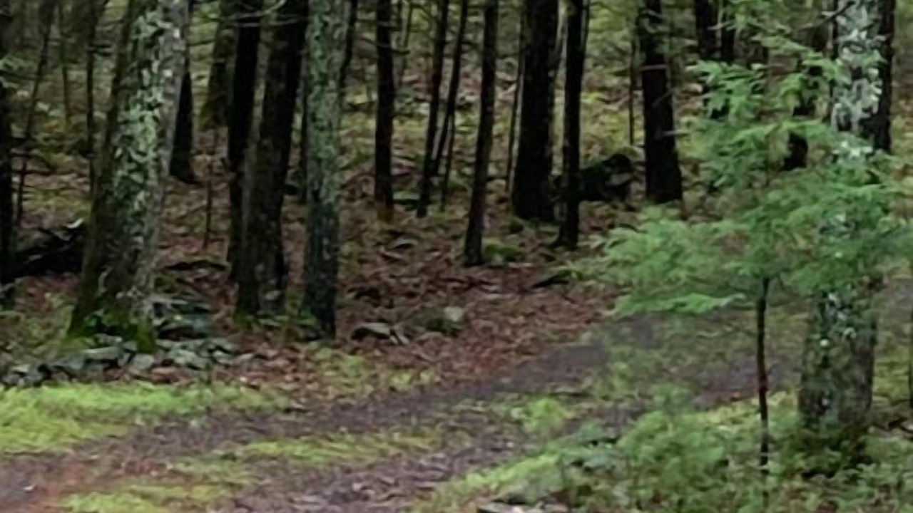 Photo of Others in Highland Lake
