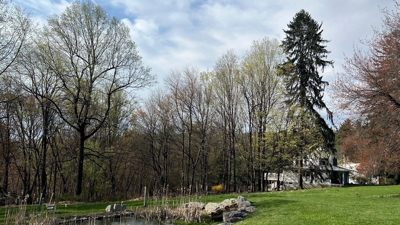 Photo of Outdoor in Blue Ridge Summit