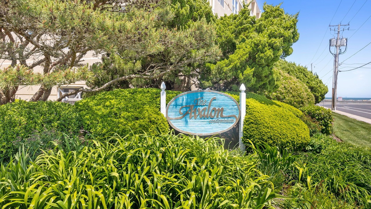 Photo of Outdoor in Avalon