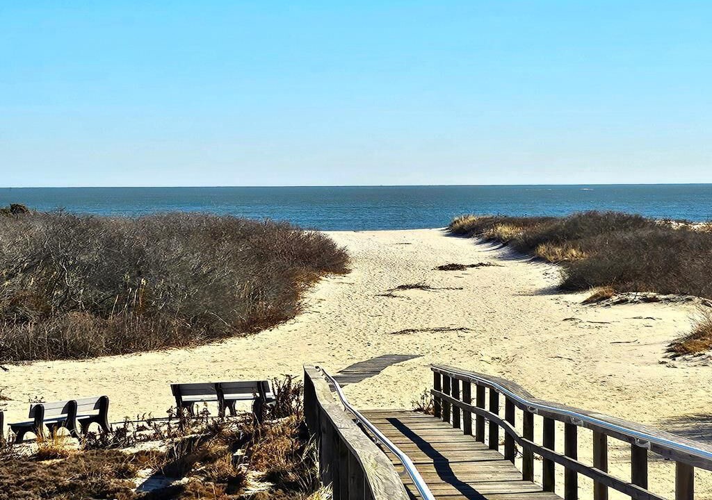 Photo of Others in Barnegat Light