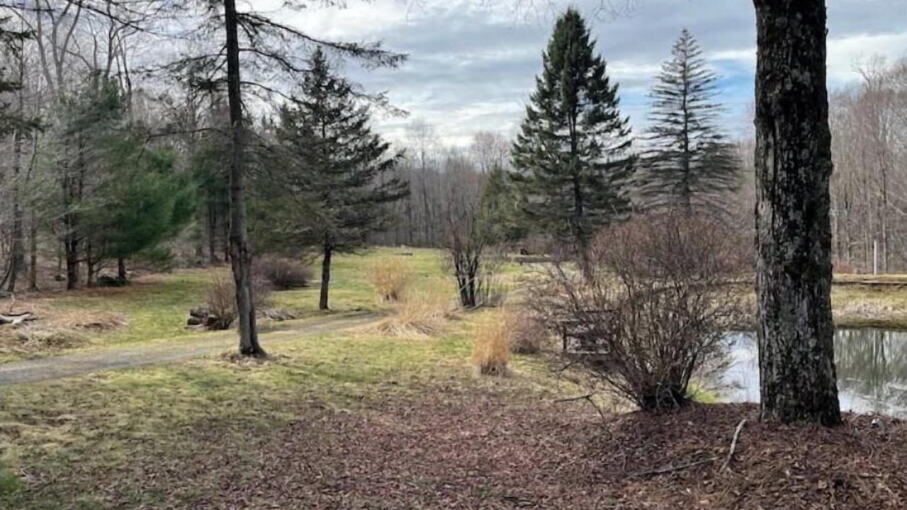 Photo of Outdoor in Equinunk