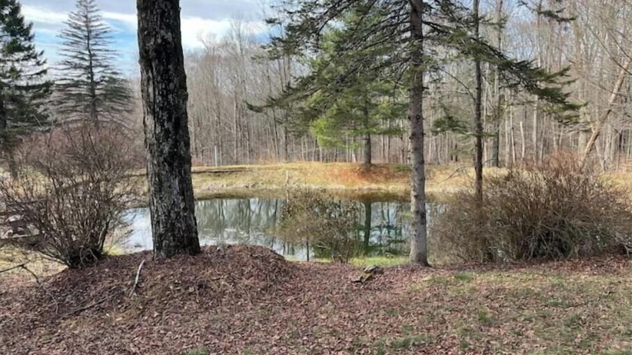 Photo of Outdoor in Equinunk