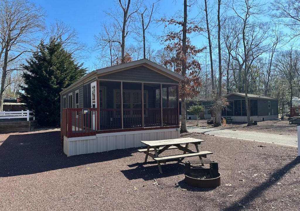 Photo of Others in Lower Township