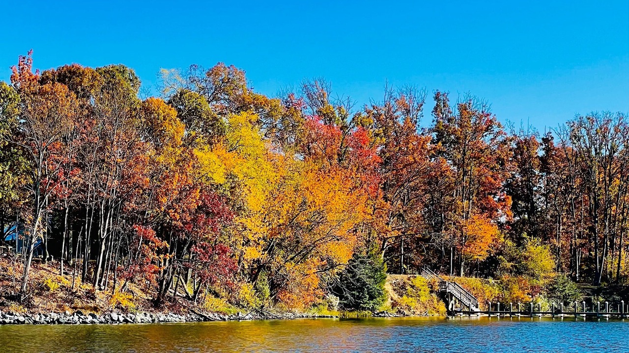 Photo of Others in Lusby