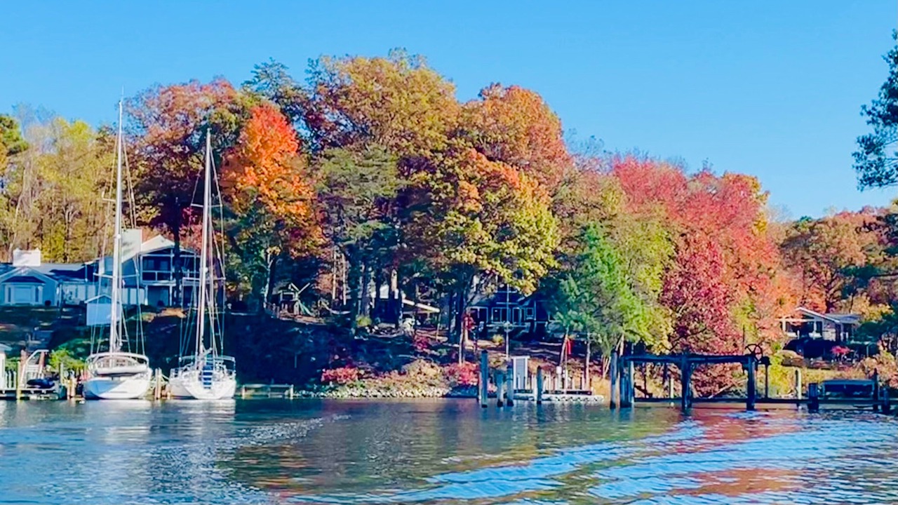Photo of Others in Lusby