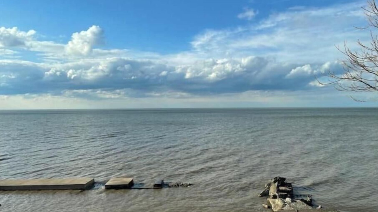 Photo of Others in Vermilion