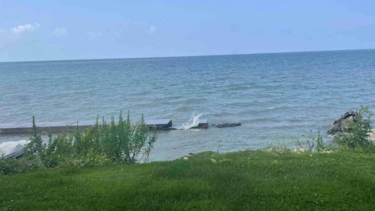 Photo of Others in Vermilion
