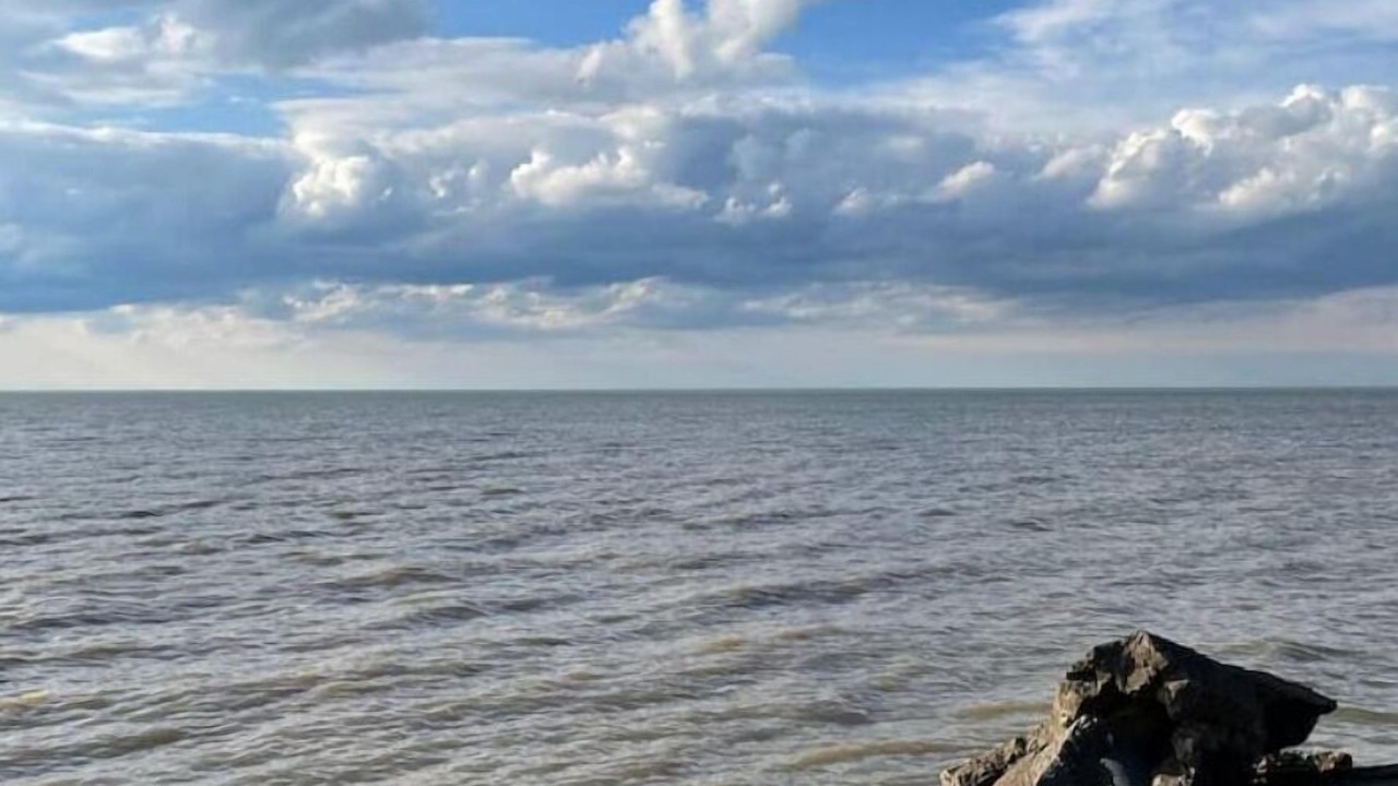 Photo of Others in Vermilion